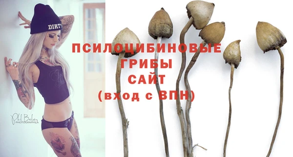 spice Алексеевка