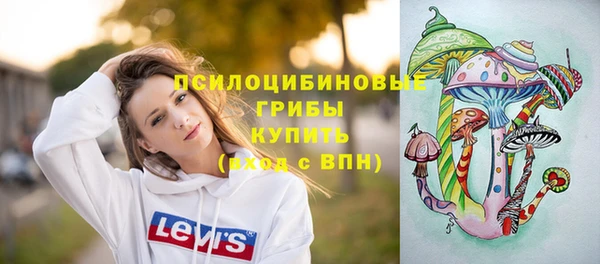 героин Алексин